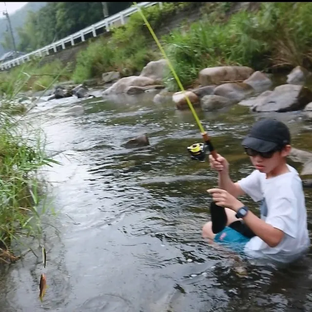 アイランドさん写真